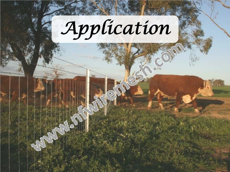 cattle fence (7).jpg