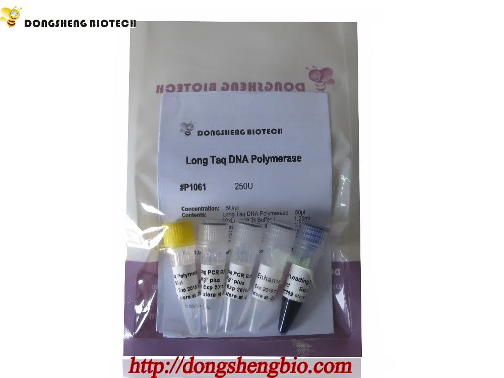 P1061 Long Taq DNA Ploymerase.jpg