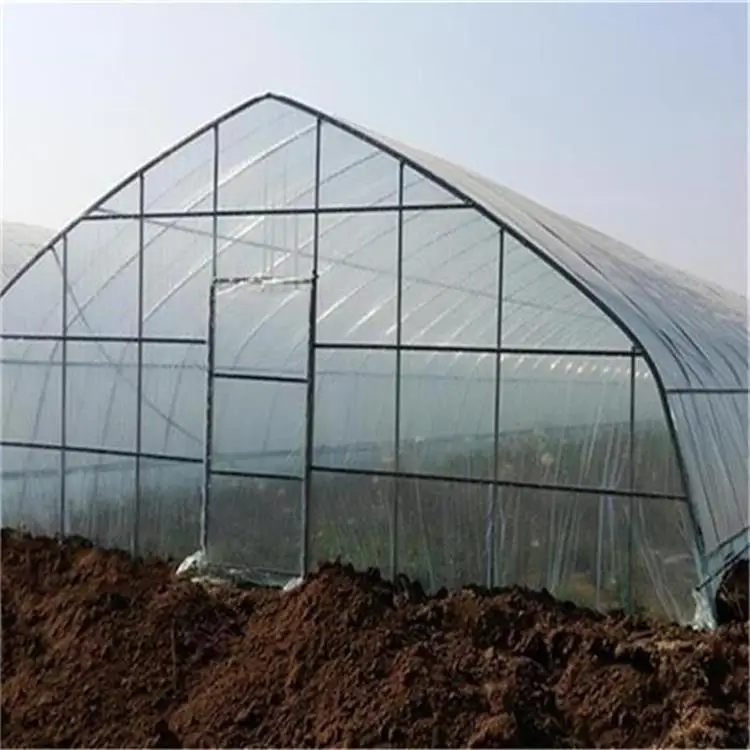 gothic greenhouse.jpg