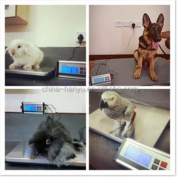 Kdaec 300kg Large Platform Electronic Digital Animal Scale With Usb