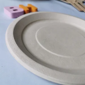 Image of Eco Friendly Bamboo Plates Disposable BBQ plate Party Dishes Round