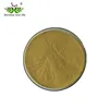 Natural Of The Rehmannia glutinosa root extract powder/Catalpol/Radix Rehmanniae Extract