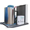 0.3Ton per Day Make flake ice for Retail User