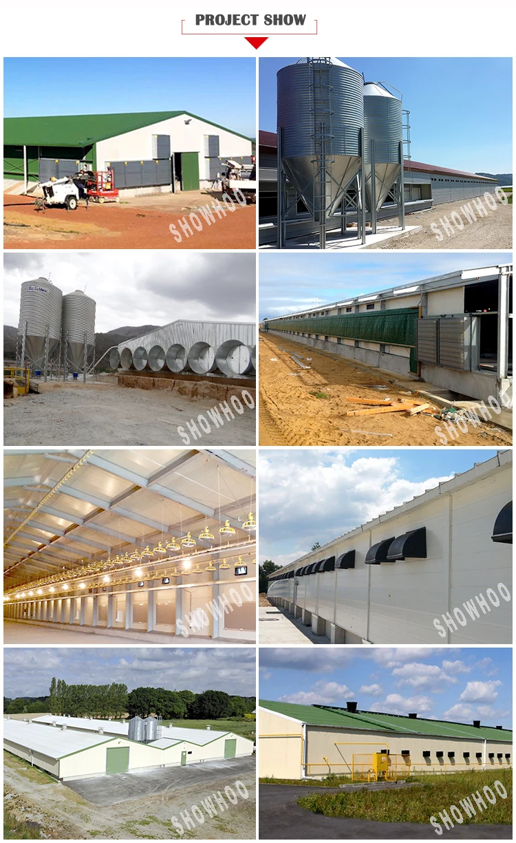 Low Price Design Prefab Steel Broiler Chicken Poultry Farm Shed House For 10000 Chickens Buy 7504