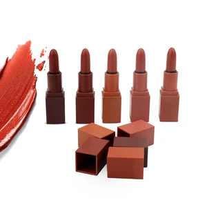 Hot Selling OEM No Brand 5 in 1 Matte Lipstick Set