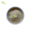 100% nature provide white button mushroom powder