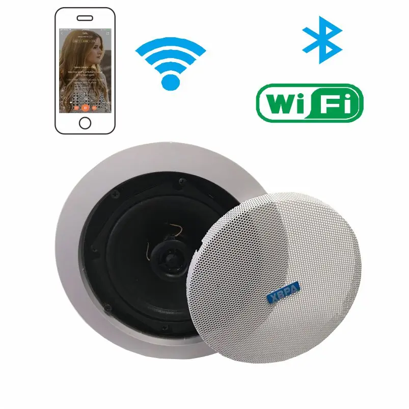 Bluetooth ceiling speaker  10W-20W-30W-40W-60W(Built-in automatic standby system without audio signal)