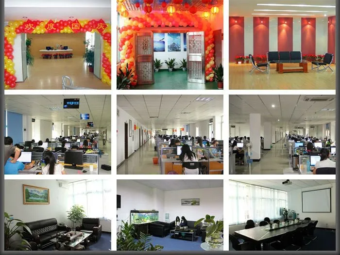 SanDisk memory card.jpg