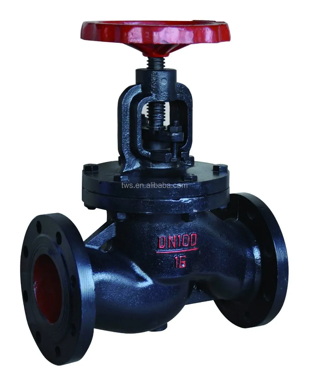 Dn40-dn300 Sewage System Globe Valve Check Valve - Buy Mss Sp-70 Cast ...