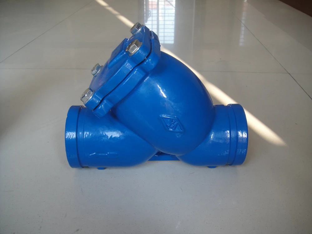 沟槽端 y 过滤器