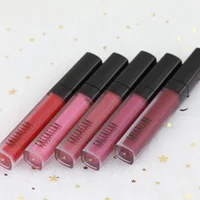 

2019 new makeup waterproof matte liquid lipstick