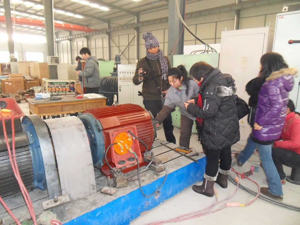 Energy Permanent Magnet Generator, 50kW, 400V - detail 24