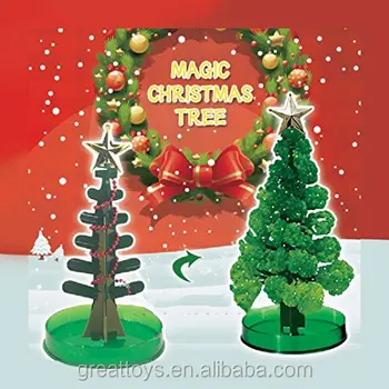 growing christmas trees