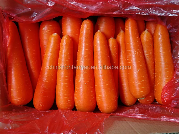 carrot-L (1).jpg