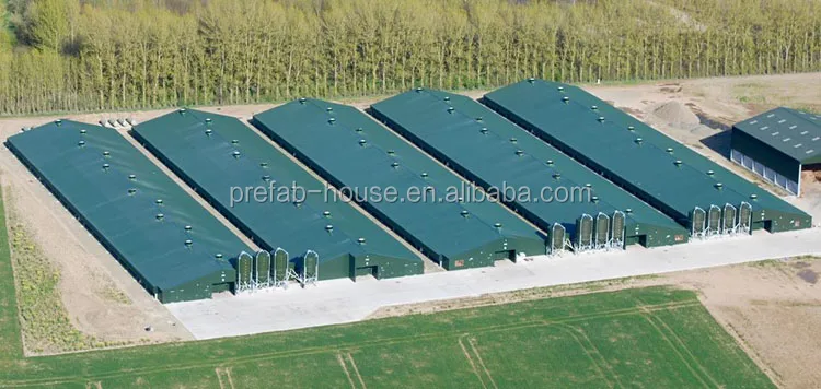 chicken poultry farm house design for layers in kenya farm in china