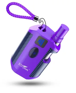 Adjustable Voltage Preheat Battery CBD Vape Pens