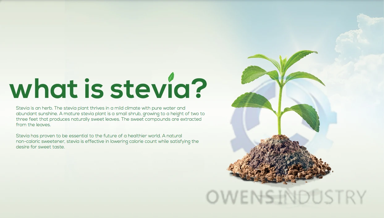 Stevia 3.jpg