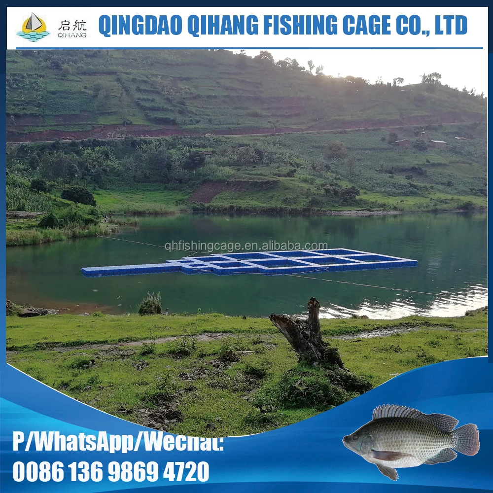 
Customized square pontoon floating cage aquaculture fish farming cage 