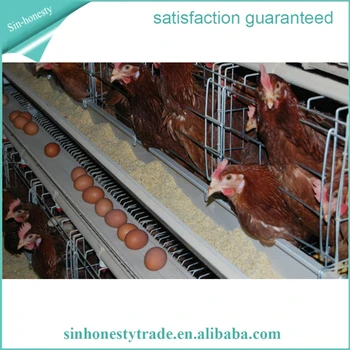 Pvc Feeding Trough Used In Chicken Cage