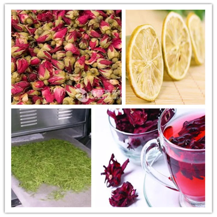 Industrial Vegetable Dried Microwave Tunnel Dryer Fruit Apple Microwave