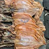 cleaned dry equator Squid skinless for importers