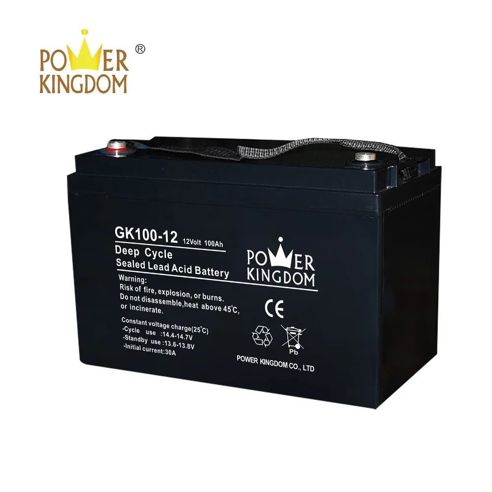 high consistency 12 volt sla battery charger with good price wind power system