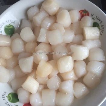 frozen scallop meat sea scallop bay scallop prices buy scallop prices
