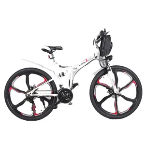 21 Speed Cheap E Bicycle With 48V 15AH Battery Integrated Wheel