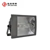 4 X 1000 Watt Wide Area Floodlights Hybrid Vehicle-Mounted Telescopic Light Tower
