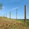 Cheap Electric Poly Wire For Cattle