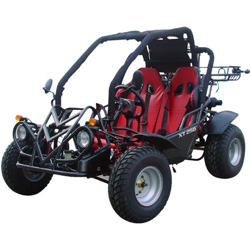 
TK250GK 6 250cc Go Kart BUGGY 250cc mini car 