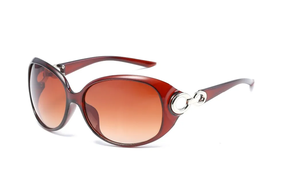 Eugenia fashion sunglasses manufacturer new arrival fashion-13