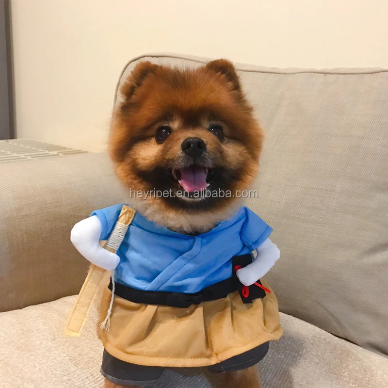 dog costumes.jpg