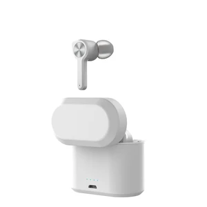 V5 TWS Wireless Sports Earbuds Charging Case