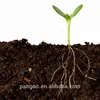 Increase in plant yield using beneficial soil microbes