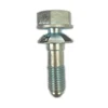 Custom nickel or zinc plated steel Hex Shear bolt with Logo Lazer Etching