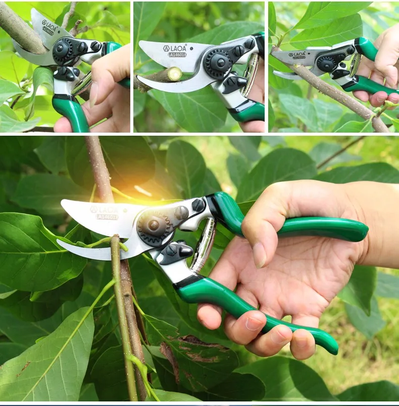 Laoa 8" High Hardness Sk5 Material Bypass Ratchet Japanese Style Plant