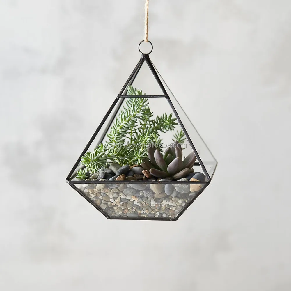 New Hanging Glass Terrarium Containers Buy Hanging Glass Terrarium