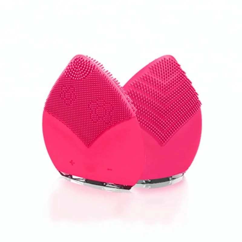 face brush