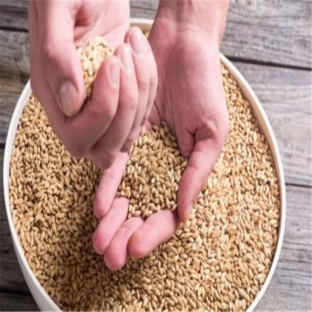 Barley-04.jpg