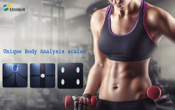 fat scale