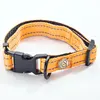 Remote Dog Training Shock Collar Nylon Dog Collar Reflective