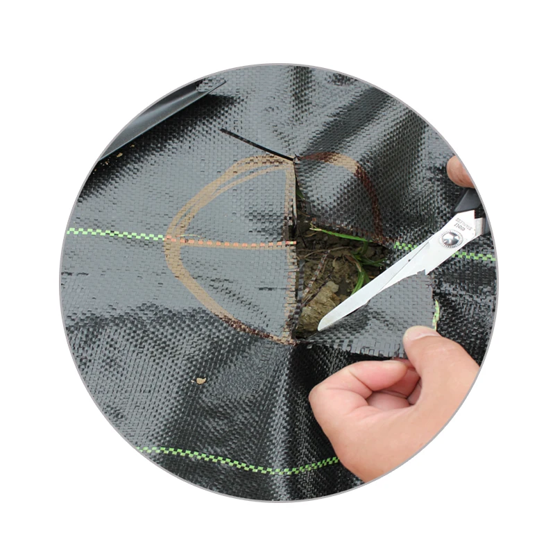 Hot Sale Weed Mat Commercial Weed Mat For Vegetable Garden Buy Weed