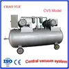 Duplex vacuum pump system