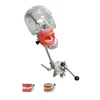 Advanced dental phantom head model Simple dental Manikin with jaw model can be adjusted