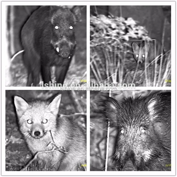 Hot selling Digital Night Scope Monocular Camera with 350m Range Best-guarder