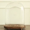 Factory Direct Handmade Custom Size Wood Base Oval Glass Dome For Display