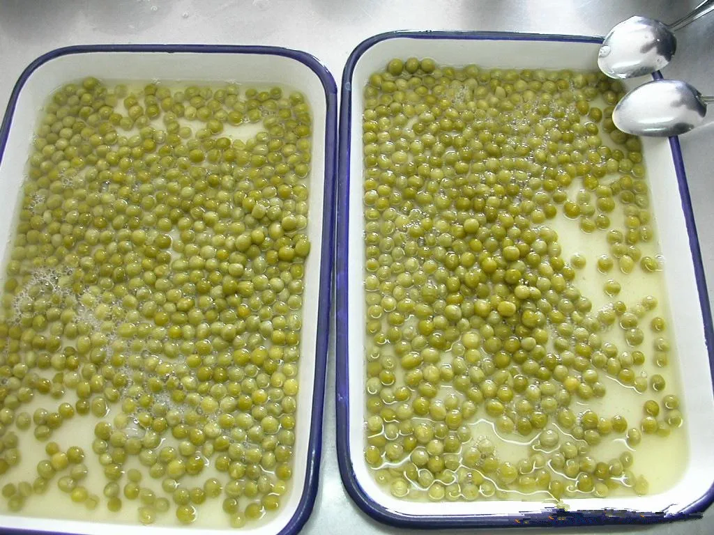 canned green peas 10.jpg