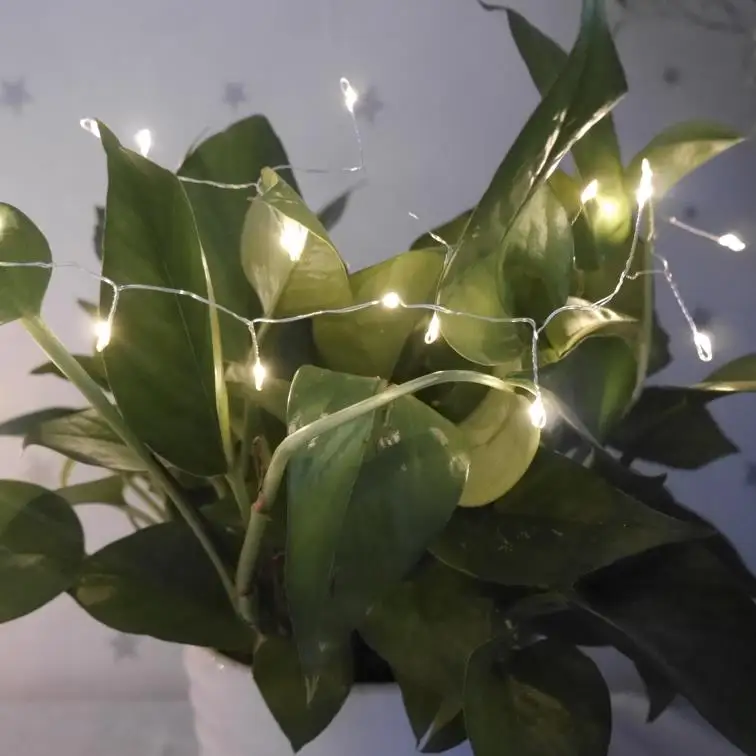 

4M Long 100pcs micro LED BOA string light with battery operated
