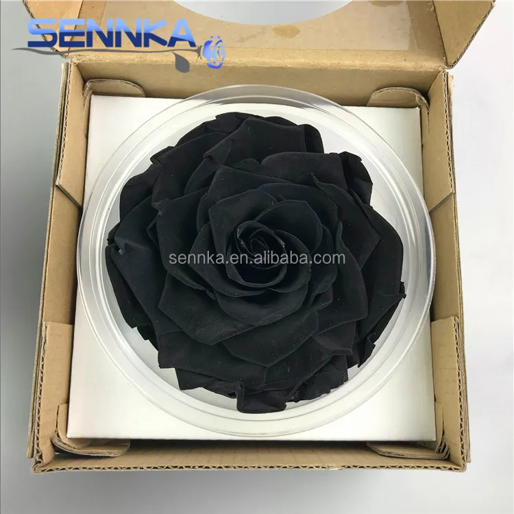 Everlasting Artificial Black Rose Flower Plant Wholesale Buy